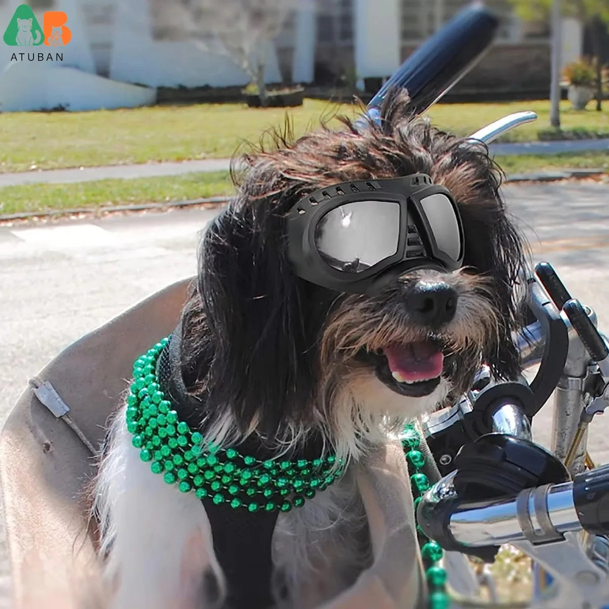Dog Sunglasses for Small Breed Dog Goggles Dog UV Windproof Snowproof for Long Snout Dogs Mask with Soft Frame Adjustable Straps